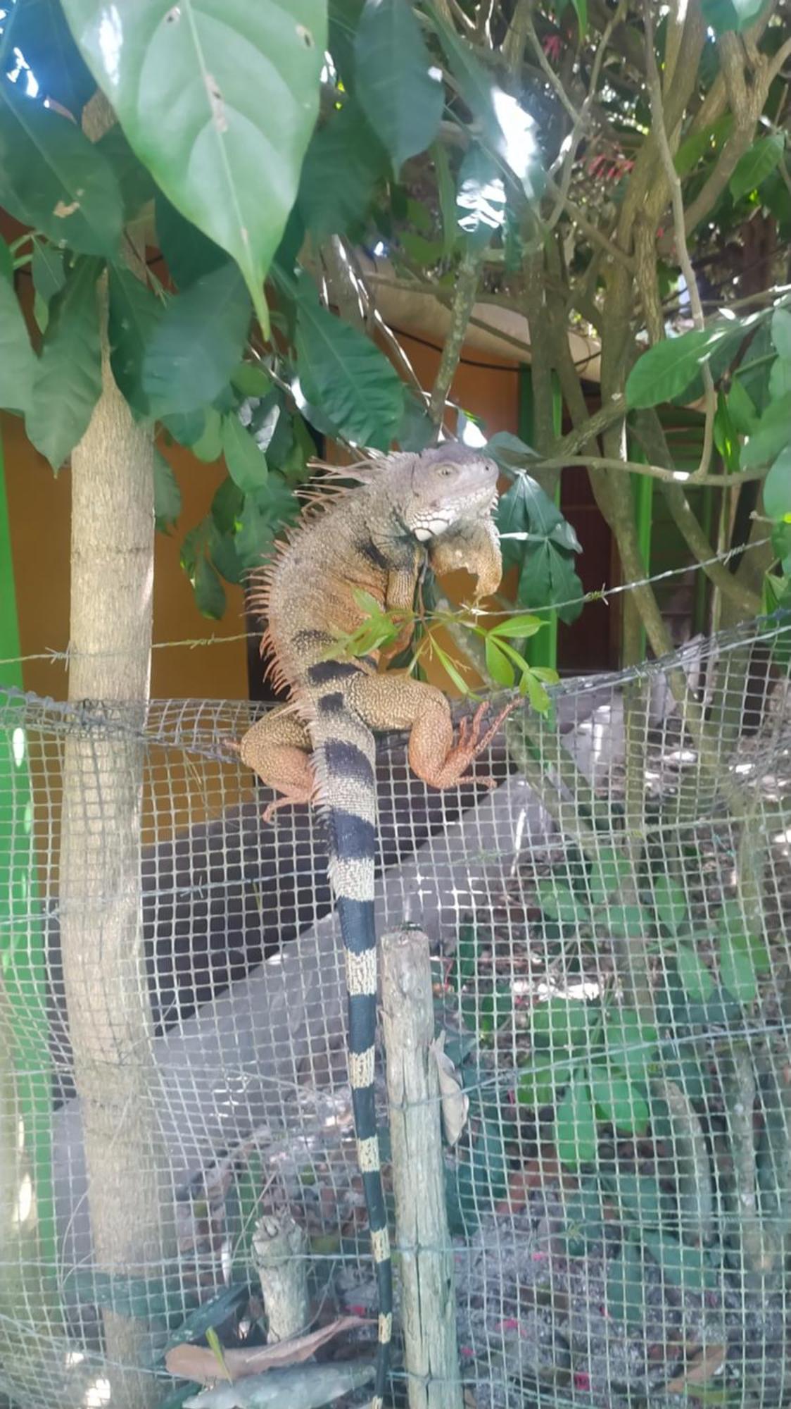 Esquina Lejana Ecolodge Palomino Εξωτερικό φωτογραφία